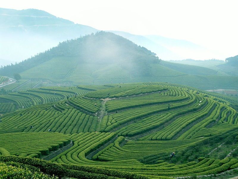 澳门太阳赌城集团