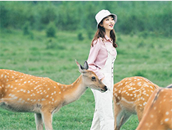 关禹神鹿产品出货快，品质有保障！