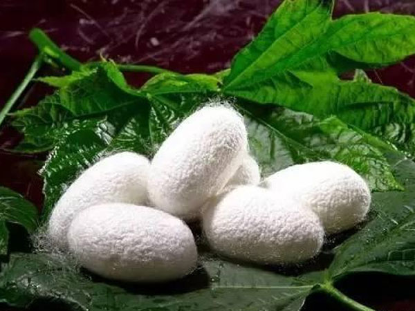 新发展模式下的丝绸发展新机遇