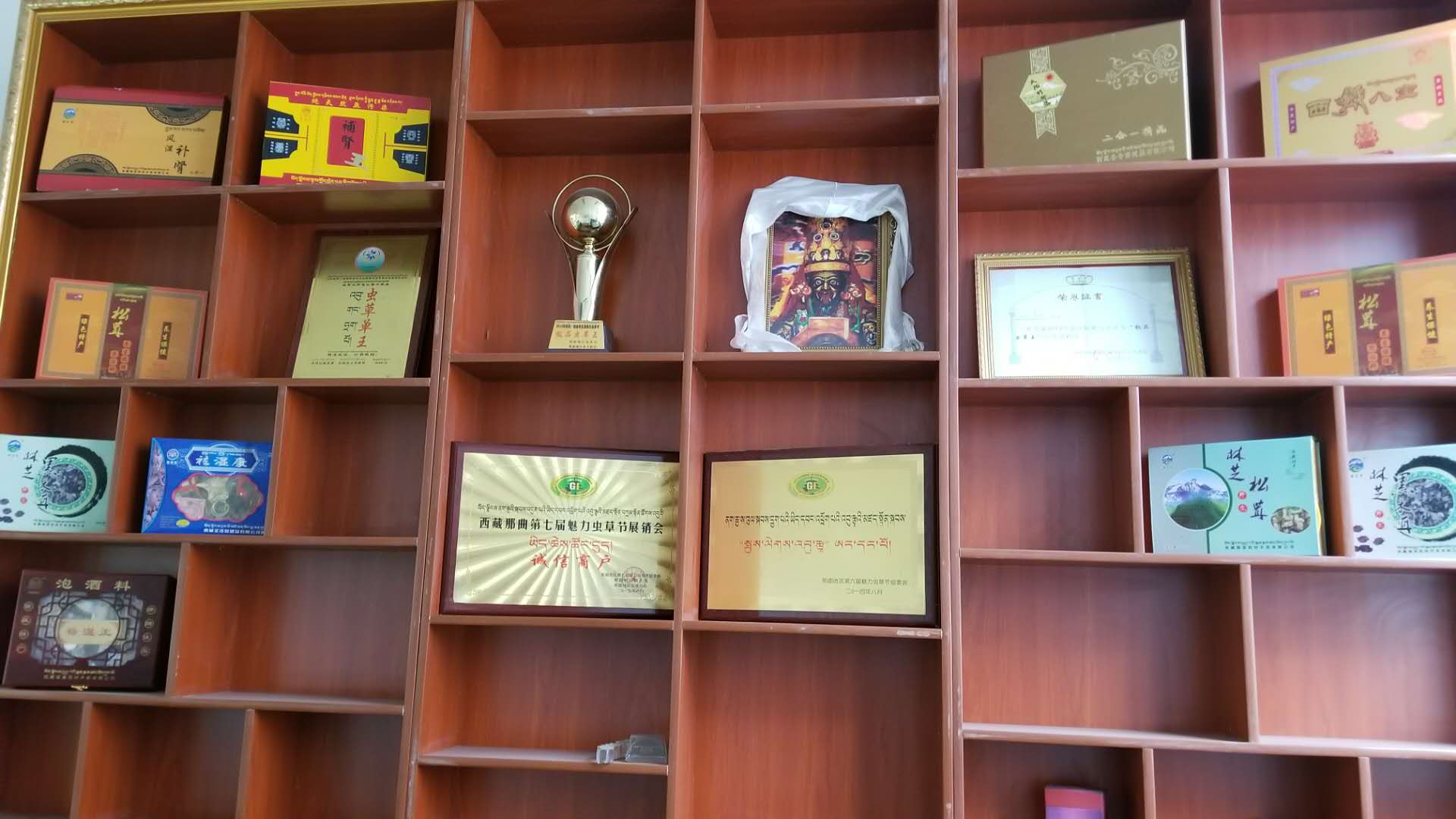 公司简介