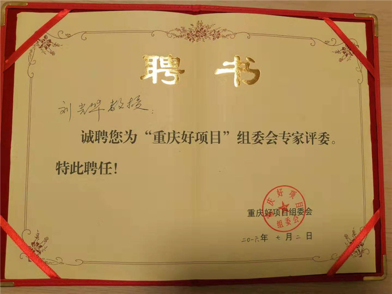 精品书画·重庆好项目 组委会专家评为