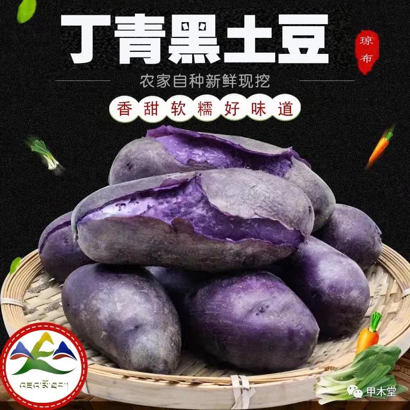 西藏昌都市丁青县生态黑土豆。别名（琼布黑土豆）
