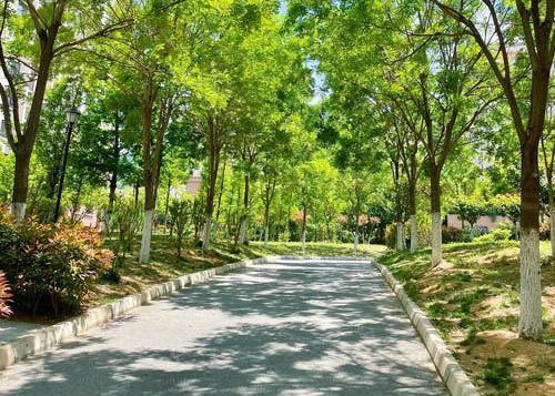 【昊丰物业】分享：建议优化升级《物业管理条例》相关条款