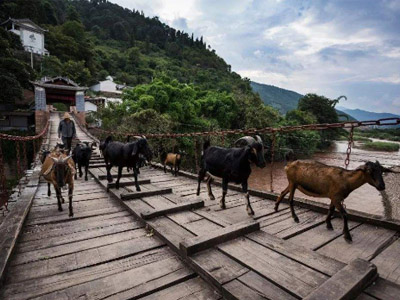 茶马古道的历史变迁