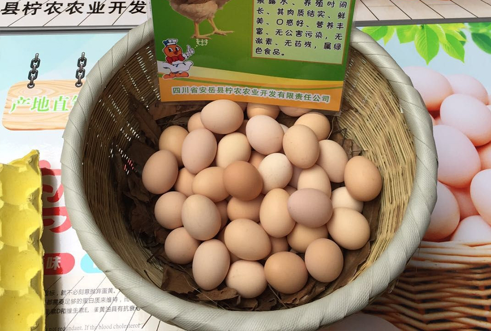 原生态土鸡蛋