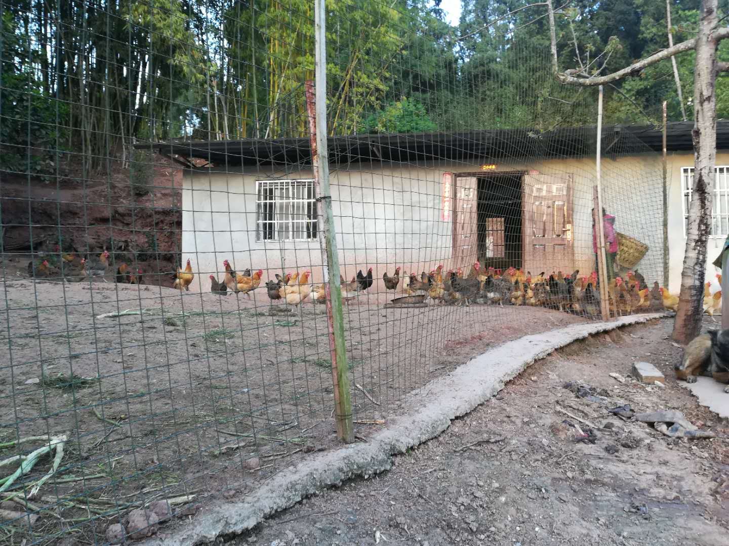 基地展示