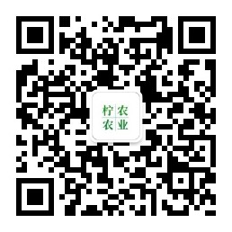 公众号