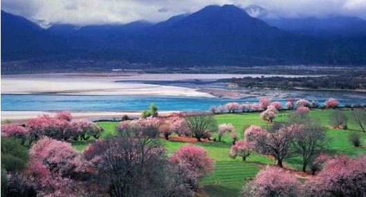 民主改革60年来 林芝经济社会发展成就显著