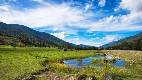 拉萨市当雄县净土牧场引进“牧草智能化技术”