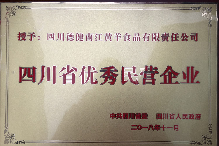 四川省**民营企业