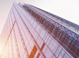 Company profile
