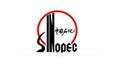 SINOPEC China Petrochemical Corporation