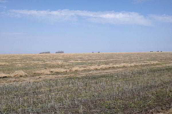哈薩克斯坦有機種植土地資源
