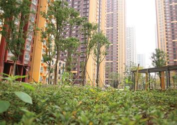 重慶市經開區“江南水岸”配電和綠化工程