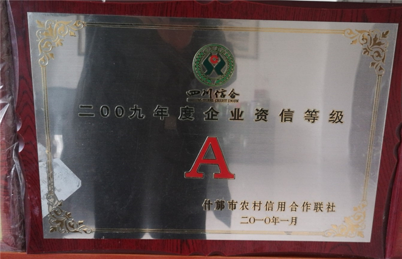 2009企业资信等级