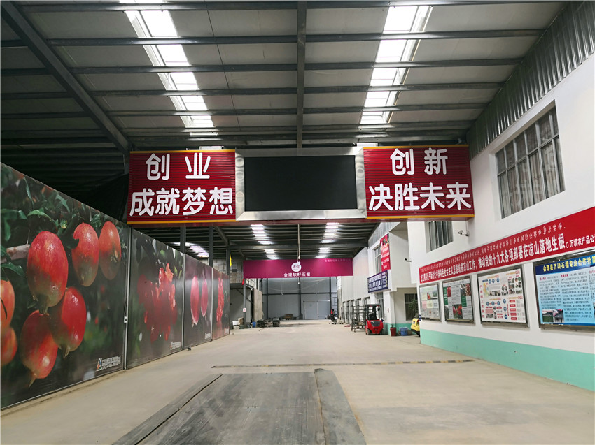 石榴分拣交易中心