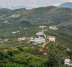 地形开阔