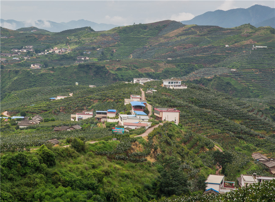 石榴基地
