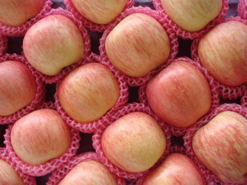 苹果,山西宏祥果业股份有限公司|宏祥果业|山西苹果