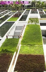防渗透种植屋面