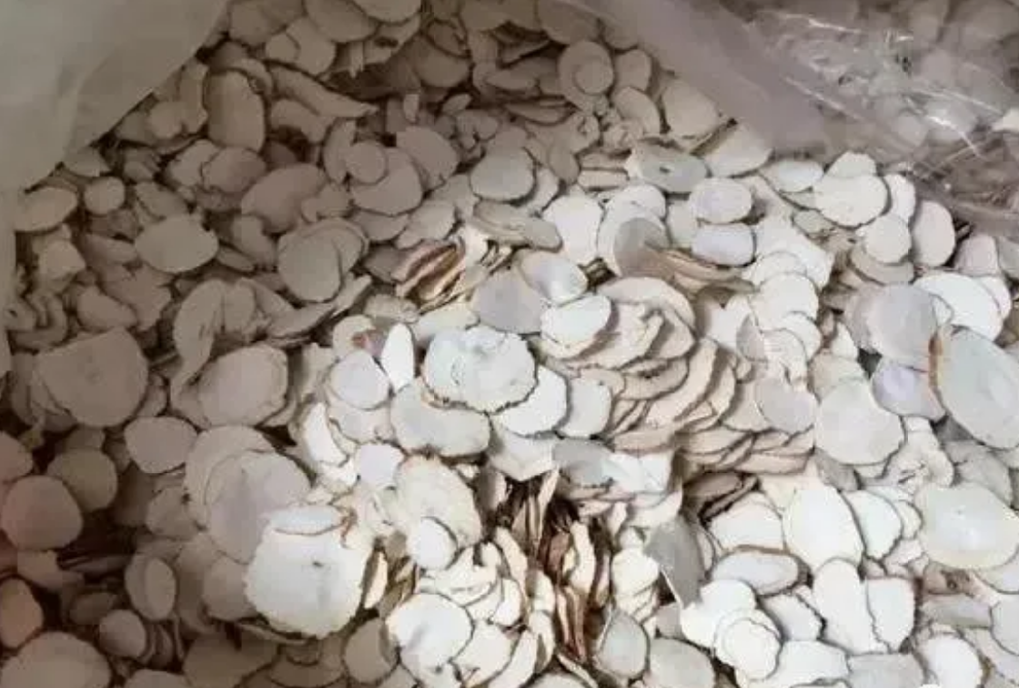 国家大力扶持中药材种植，只要注意这几点，就能减少风险！