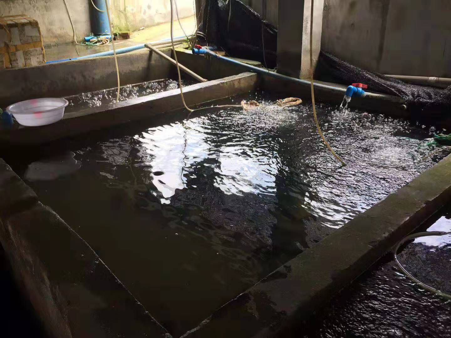 静水脬化车间