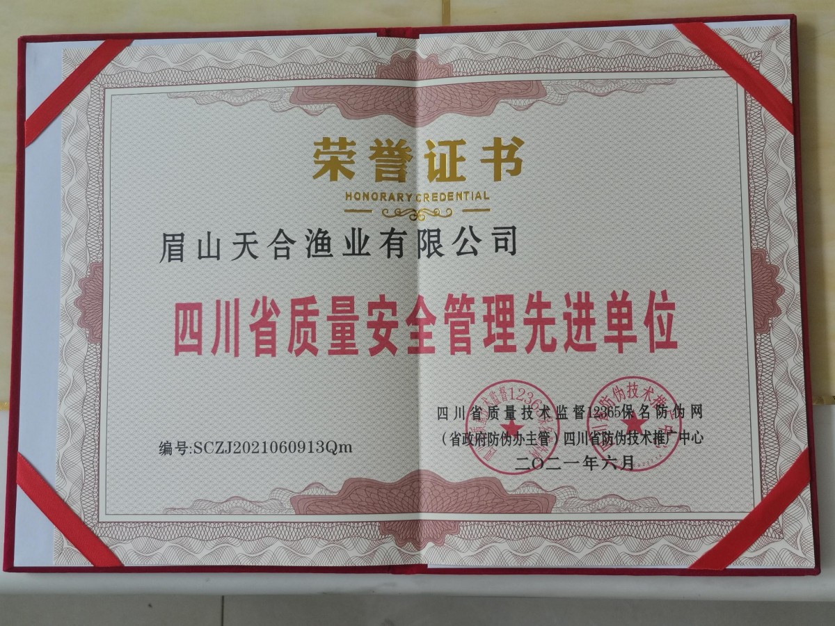 荣誉证书