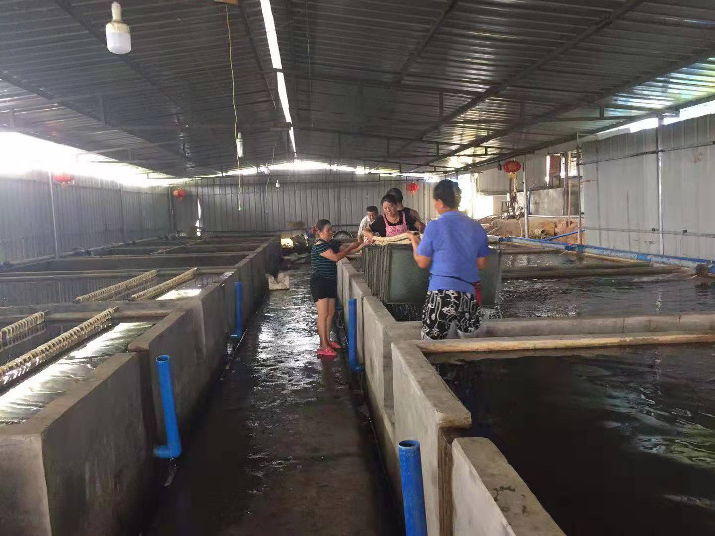 静水脬化车间