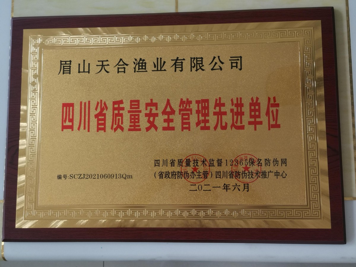 荣誉证书