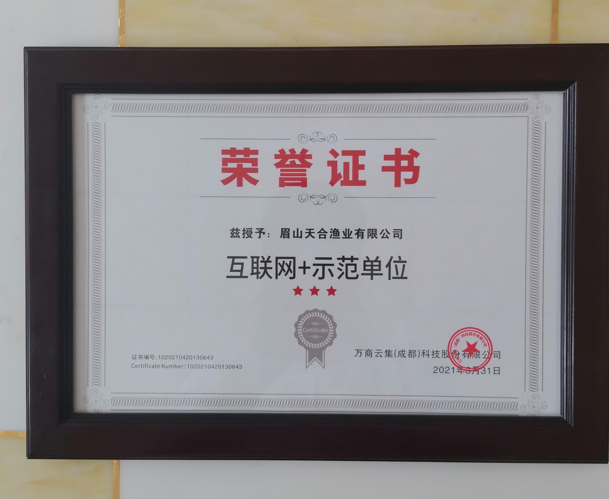 荣誉证书