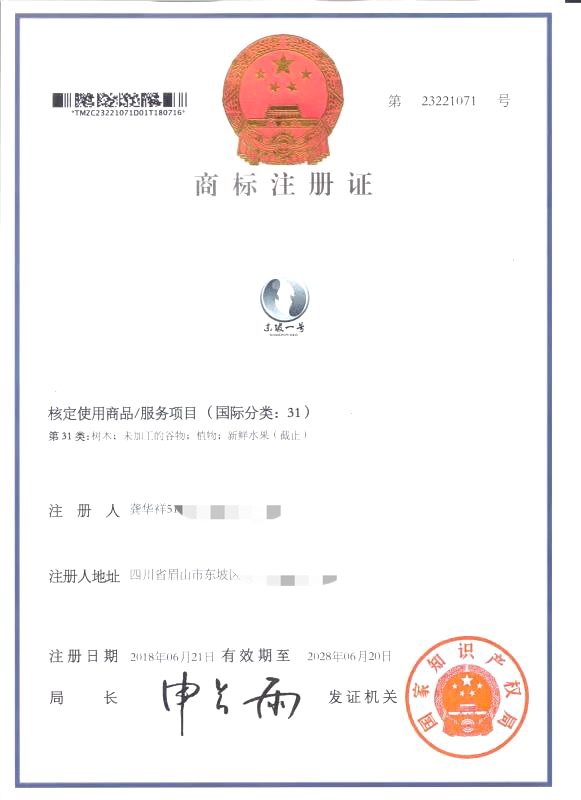 商标证书