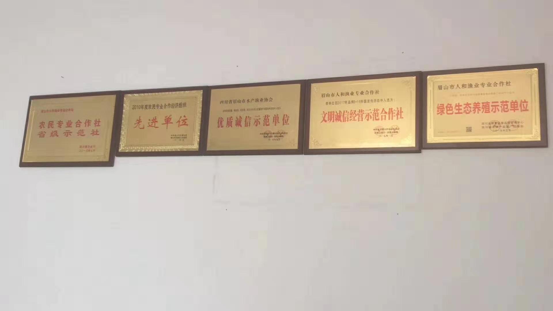 荣誉证书