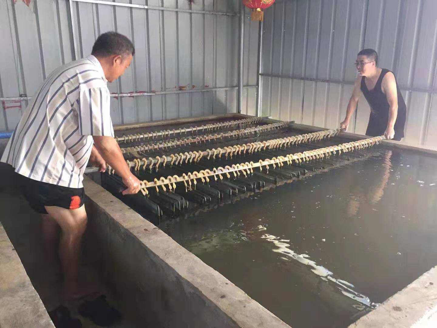静水脬化车间