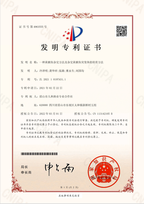 发明专利，一种黄颡鱼杂交方法及杂交黄颡鱼突变体的培育方法