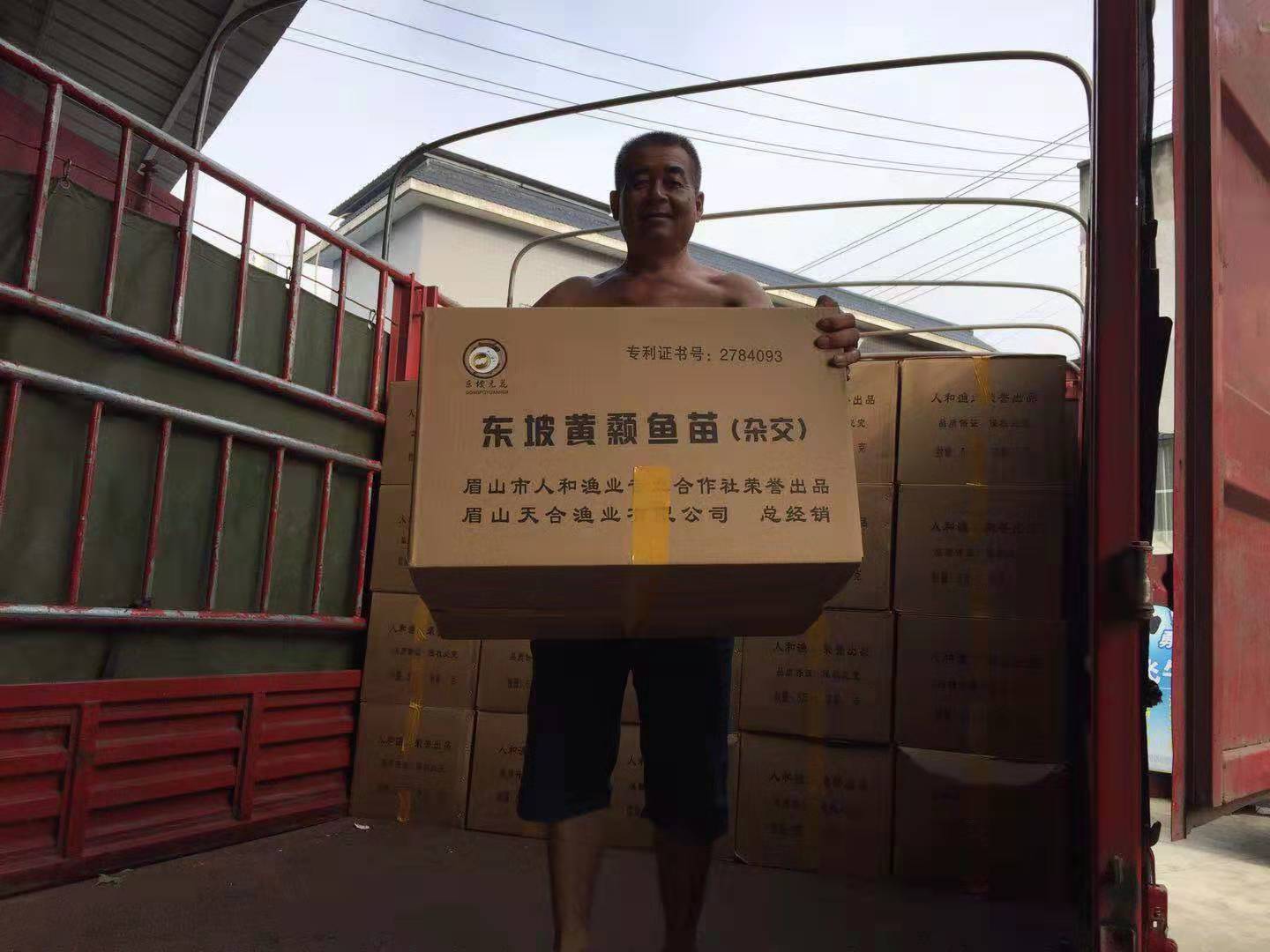 暂养包装车间图片