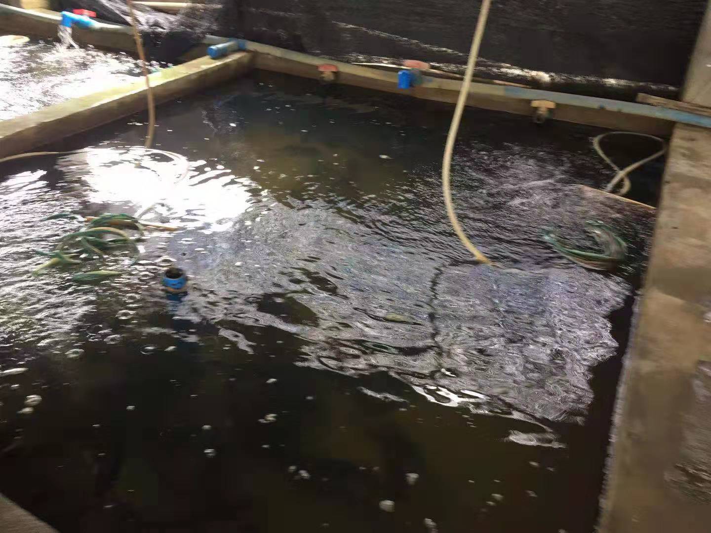静水脬化车间