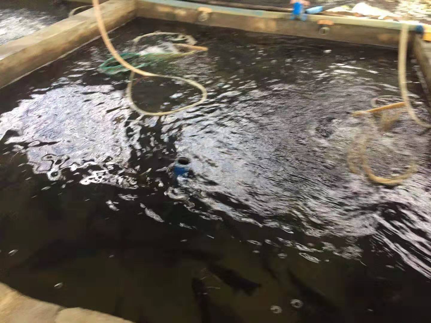 静水脬化车间