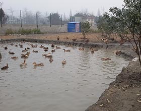 养殖基地