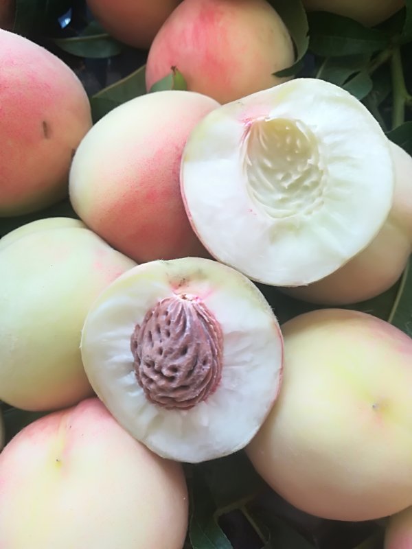 扫描关注微信公众号