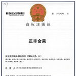 正丰金果
