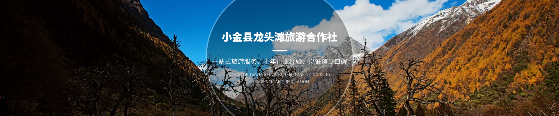 内页banner图