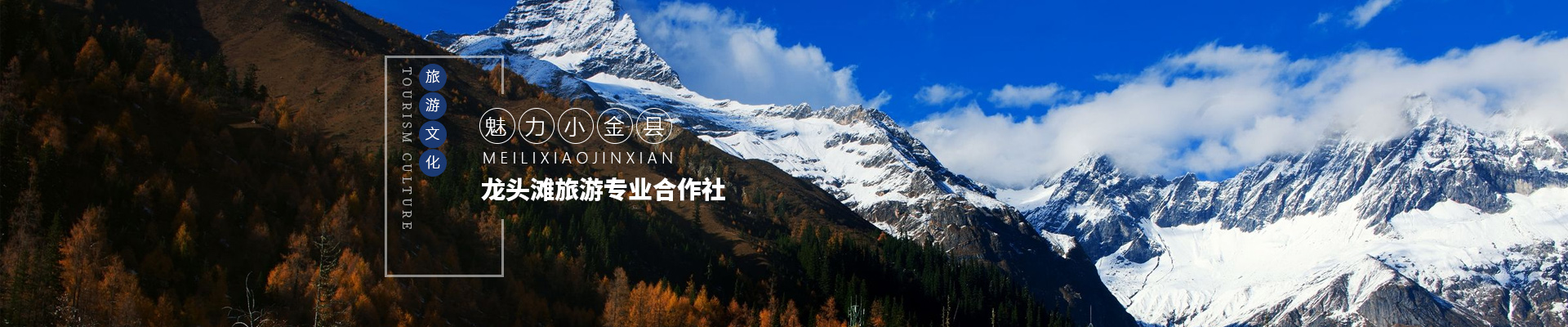 内页banner图