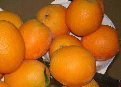 脐橙是热性还是凉性 脐橙是什么颜色-重庆市渝跃兆生态农业发展有限公司